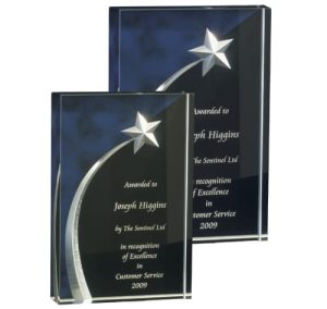 Alternative view of Shooting Star Award