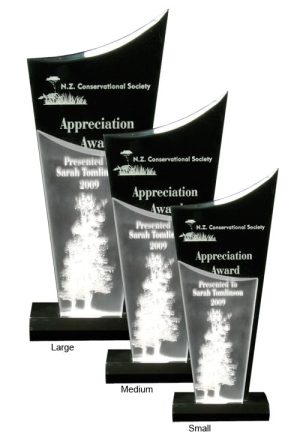 Alternative view of Black Torch Award