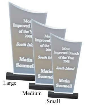 Alternative view of Frosted Mini Torch Award