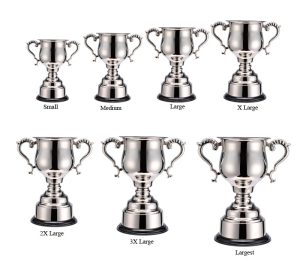 Alternative view of Kensington Cup