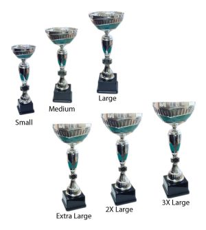 Alternative view of Milton Trophy Cup