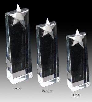 Alternative view of Silver Star Crystal Award