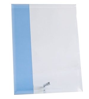 Alternative view of Rivera Blue Award