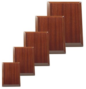 Alternative view of Precision Plaque