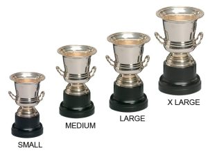 Alternative view of Ashton Trophy Cup