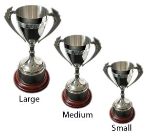 Alternative view of Karekare Trophy Cup