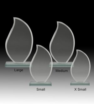 Alternative view of Glass Flame Award