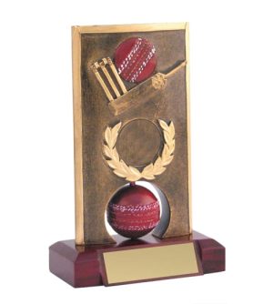 Cricket Spinner Trophy