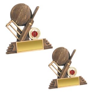 Alternative view of Cricket All Rounder