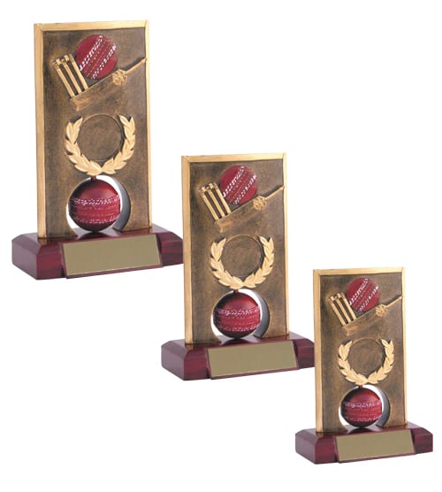 Cricket Spinner Trophy - Image 2