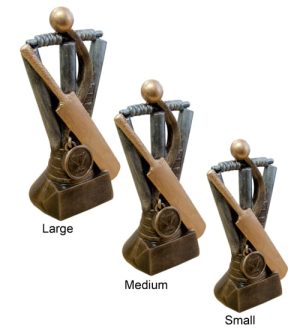 Alternative view of Cricket Sports Award