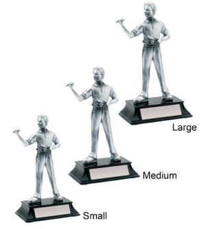 Alternative view of Darts Male