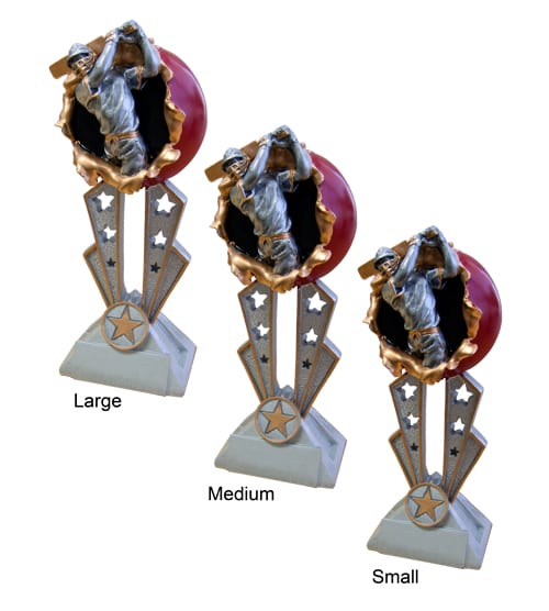 Breakout Cricket Award - Image 2