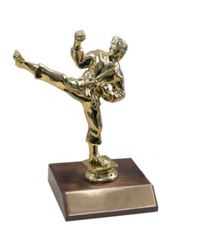 Karate - Gold Male Large & Base