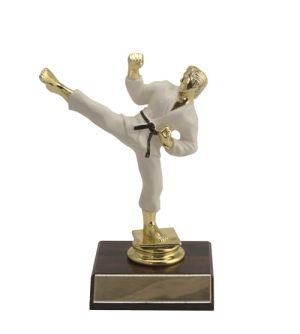 Karate -  Male Colour & Base