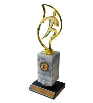 Alternative view of Rugby White Marble Award