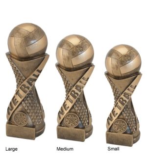 Alternative view of Diaz Netball Award