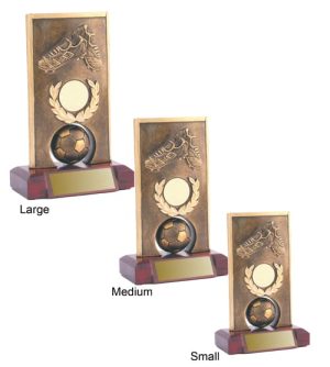 Alternative view of Football Spinner