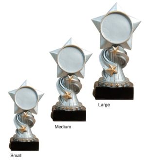 Alternative view of Top Star - Hockey