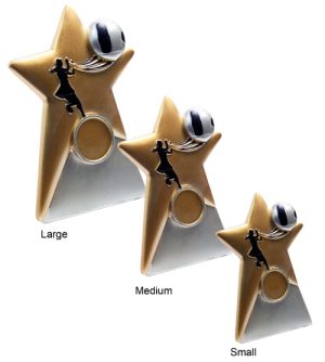 Alternative view of Gold Star - Netball Award