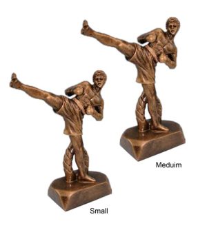 Alternative view of Kickboxer Male