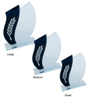 Alternative view of Begonia Glass Award