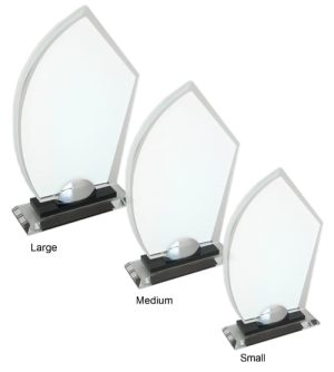 Alternative view of Castelli Award