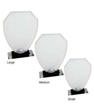 Alternative view of Serena Glass Award