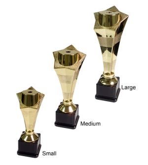 Alternative view of Gold Star Pedestal - Victory