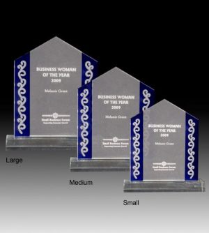 Alternative view of Waipu Award