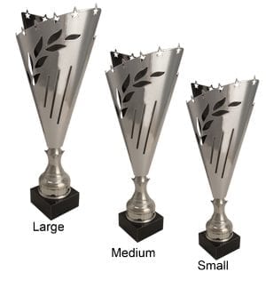 Alternative view of Montrose Trophy Cup