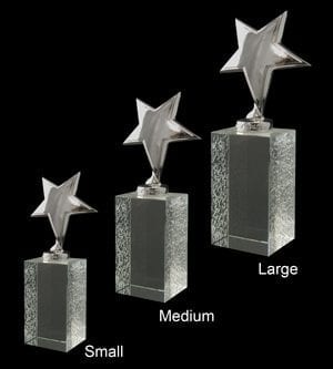 Alternative view of Ariel-Silver Glass Award