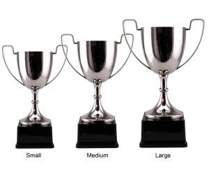 Alternative view of Chamberlain Cup