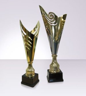 Modern Trophy Cups