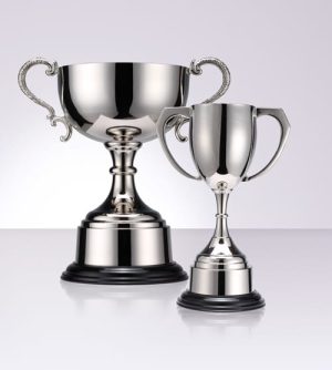 Premium Trophy Cups