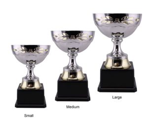 Alternative view of Kapu Bowl Trophy