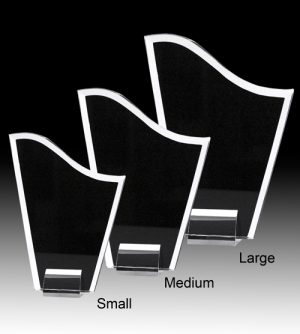 Alternative view of Essence Glass Award