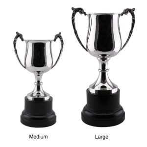 Alternative view of Lori Trophy Cup