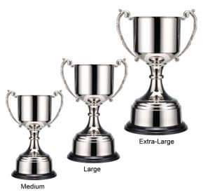 Alternative view of Delta Trophy Cup