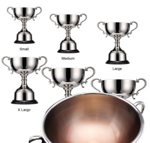 Alternative view of Brighton Trophy Cup