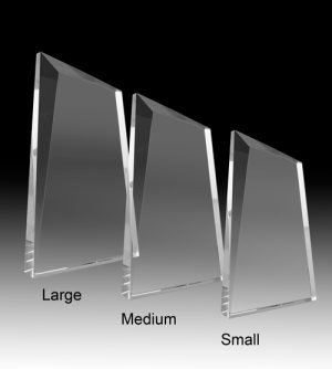 Alternative view of Ellerton Crystal Award