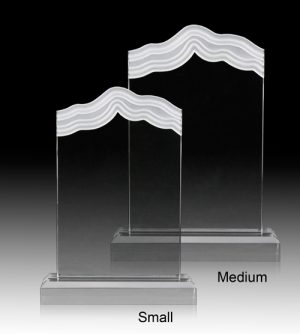 Alternative view of Clear Wave Award