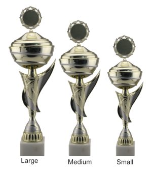 Alternative view of Elrond Trophy