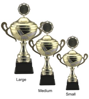 Alternative view of Warwick Trophy