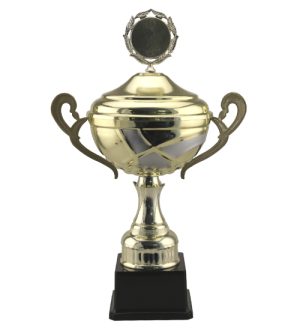 Warwick Trophy