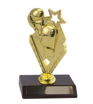 Boxing - Victory Star & Base