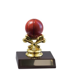 Basketball - Coloured Ball & Base