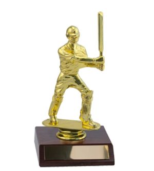 Cricket - Gold Batsman Standing & Base