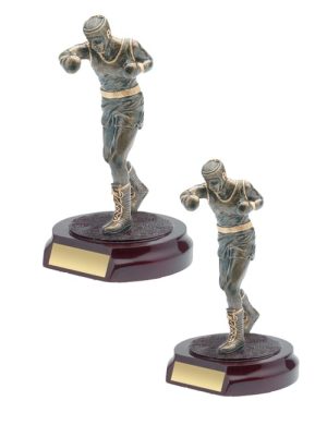 Alternative view of Boxing Male Trophy