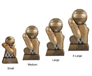 Alternative view of Diego Netball Award